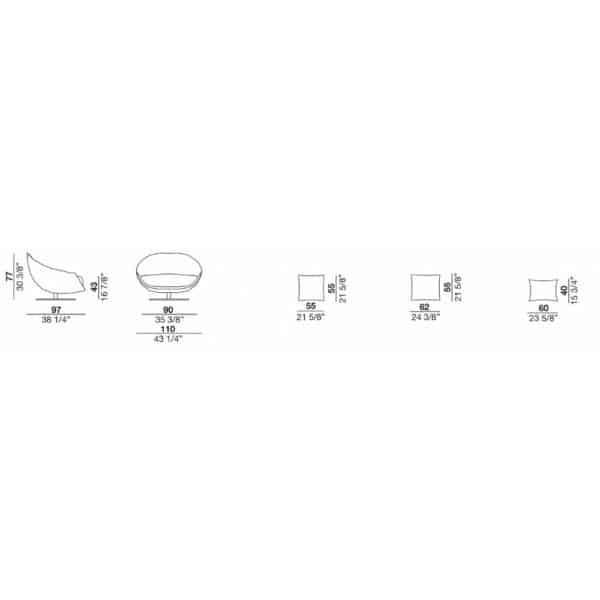 Avi - Image 5